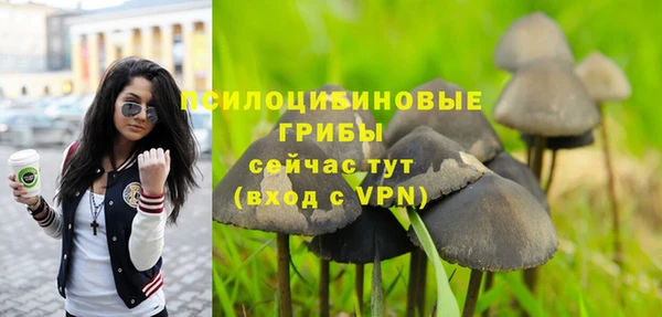 a pvp Бугульма