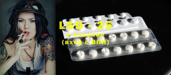 ECSTASY Бородино
