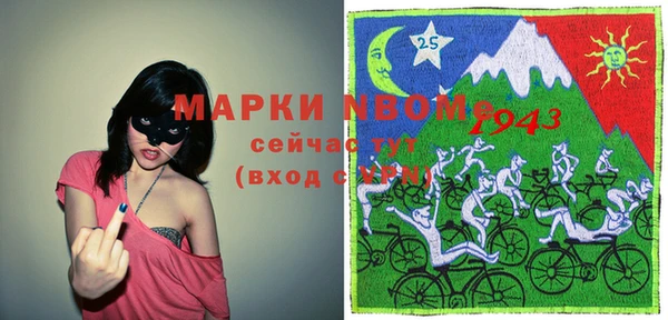 ECSTASY Бородино