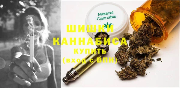 молекула духа Бронницы