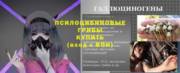 ECSTASY Бородино